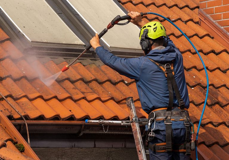 sauberstein professionelle dachreinigung SauberStein professionelle preiswerte Dachreinigung